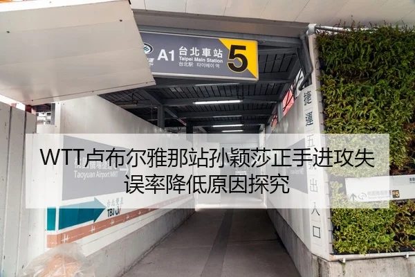 WTT卢布尔雅那站孙颖莎正手进攻失误率降低原因探究