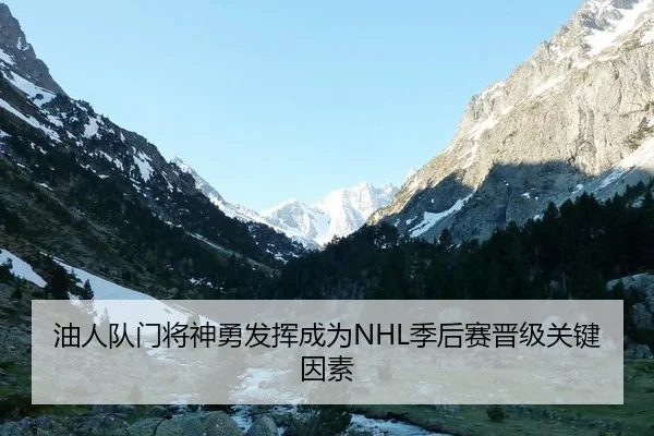 油人队门将神勇发挥成为NHL季后赛晋级关键因素