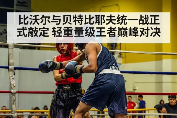 比沃尔与贝特比耶夫统一战正式敲定 轻重量级王者巅峰对决