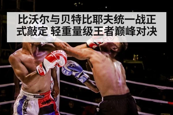 boxer training gloves